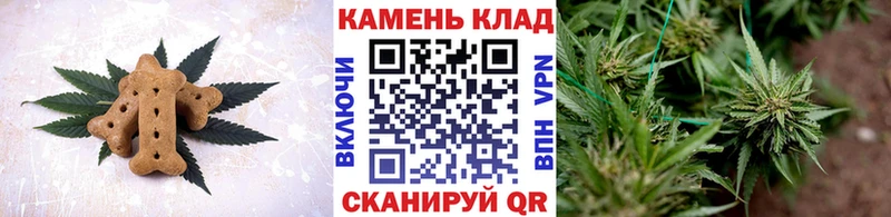 магазин продажи наркотиков  блэк спрут зеркало  Печенье с ТГК конопля  Макарьев 