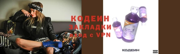 сатива Арсеньев