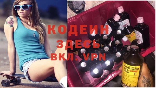 сатива Арсеньев